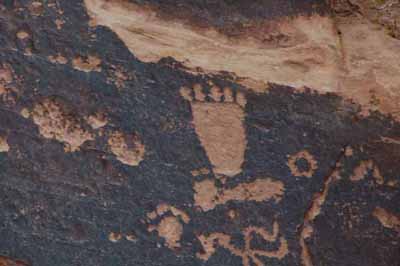 Newspaper Rock petroglyphs